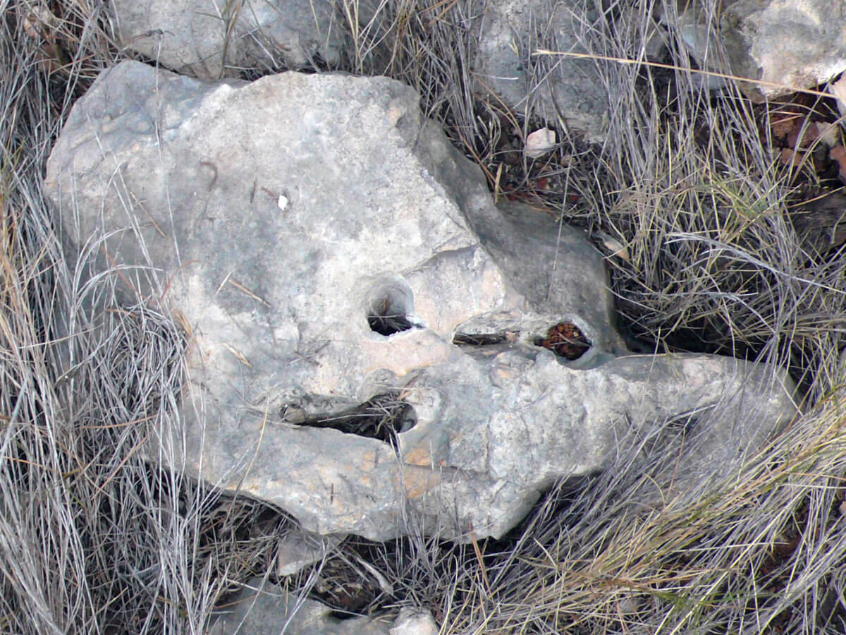 Piedra 20310, photography, 2013