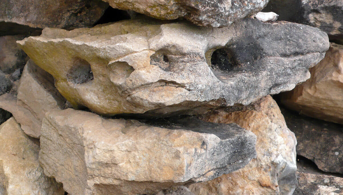 Piedra 20398, photography, 2013