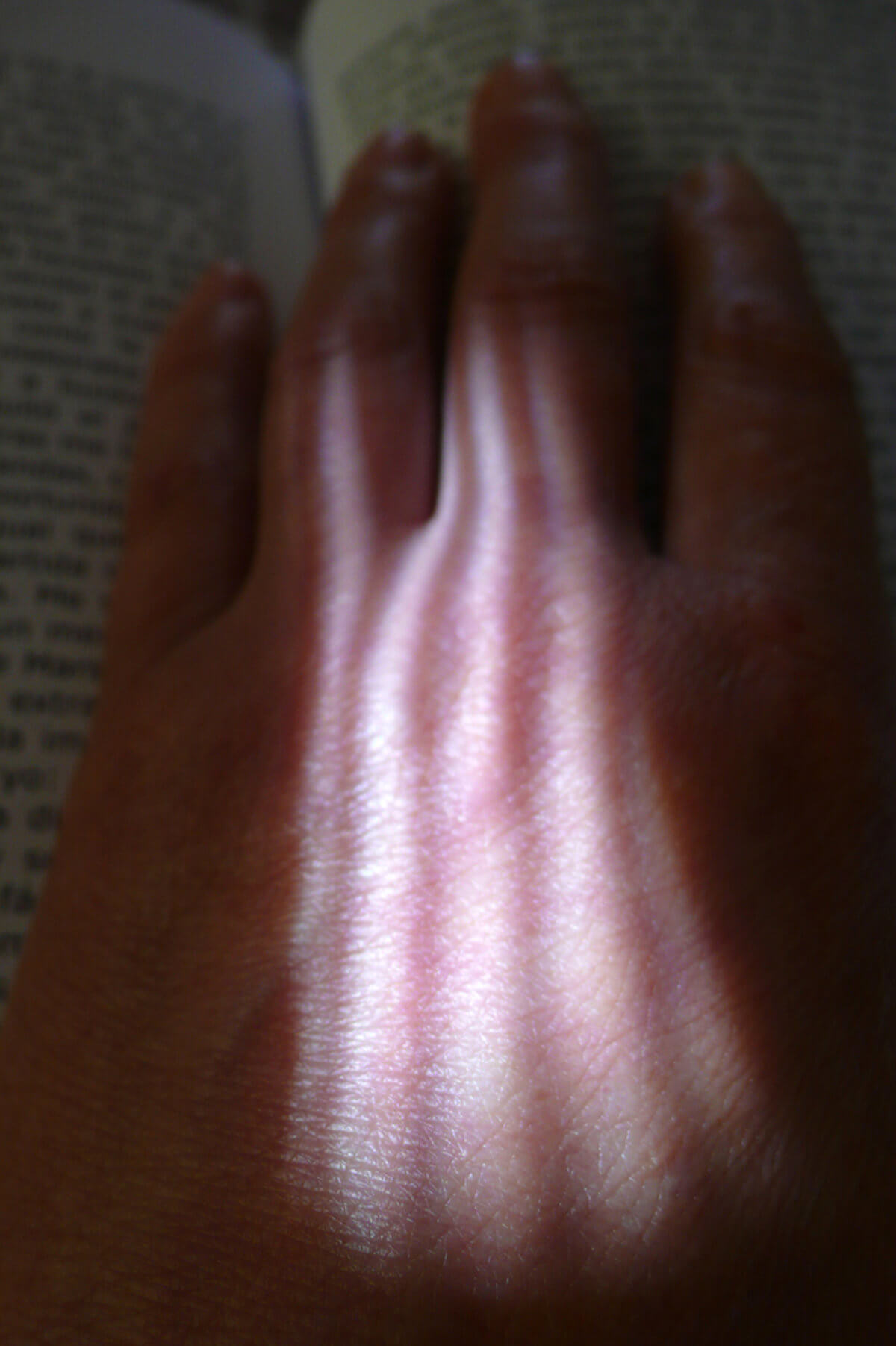 untitled (hand), photography, 2013