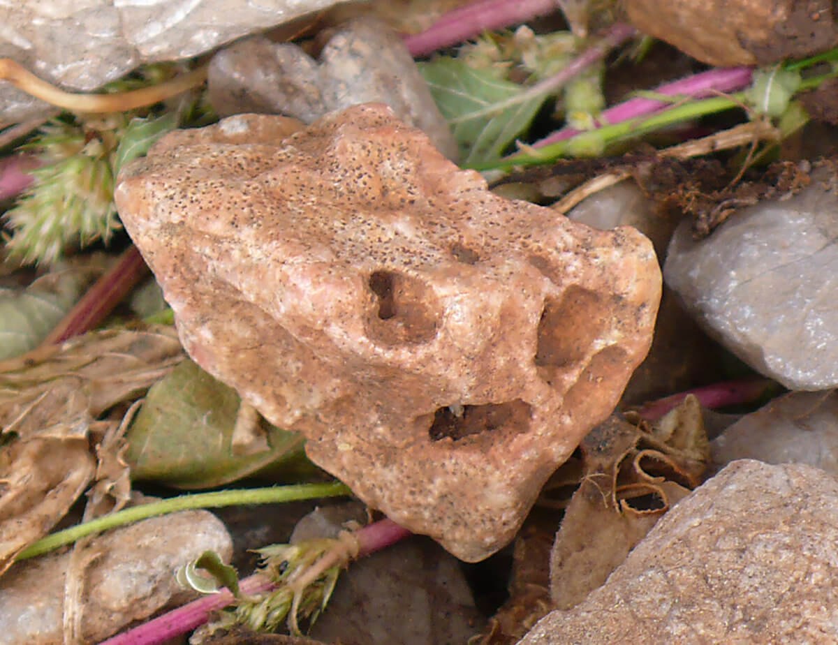 Piedra 60431, photography, 2014