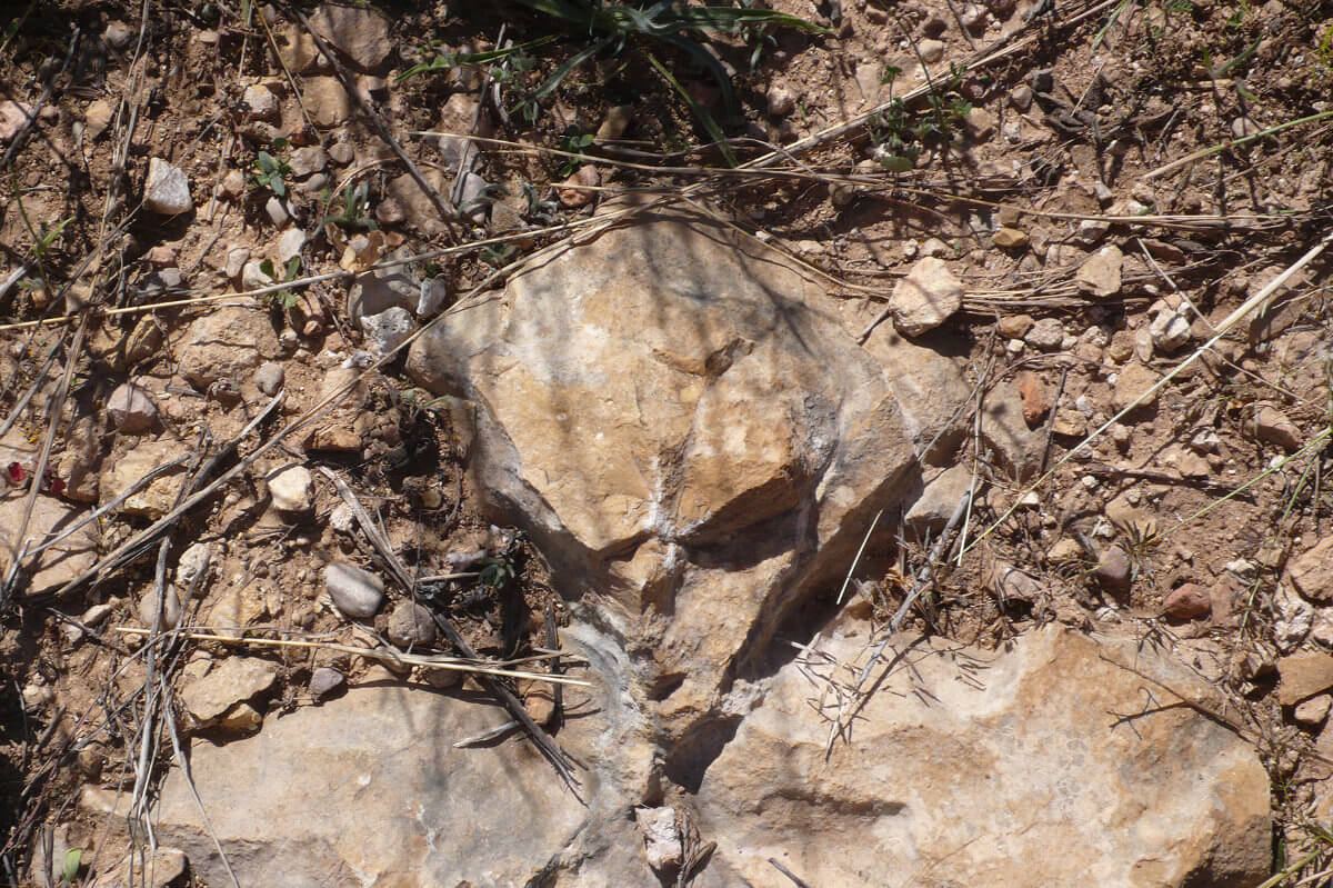 Piedra 60906, photography, 2014