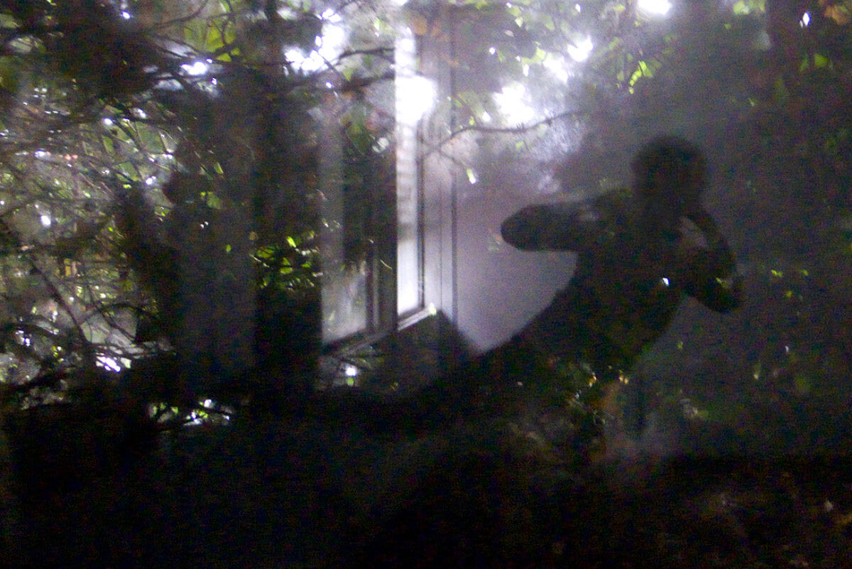 Plant room (falling shooting), photography, 2008