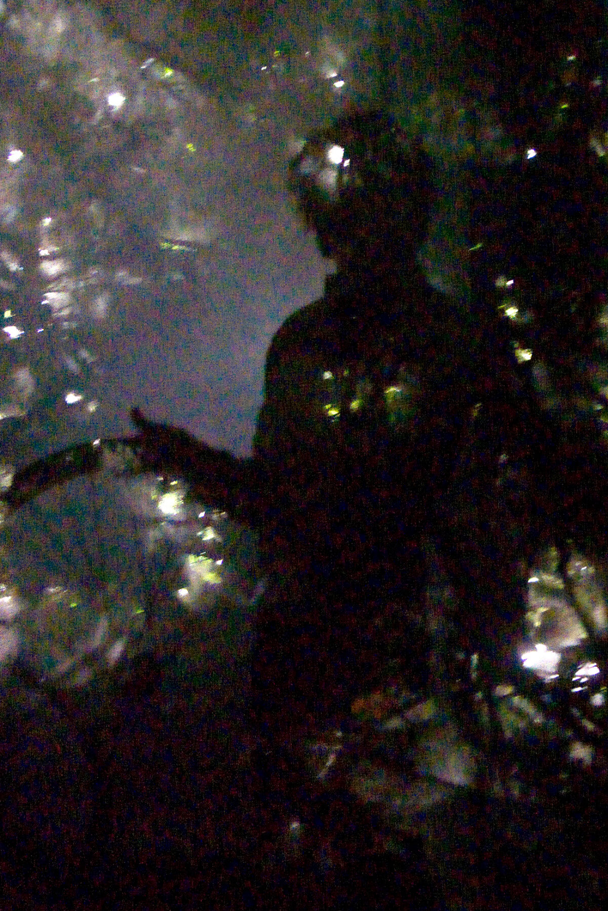 Plant room (beaming), photography, 2008