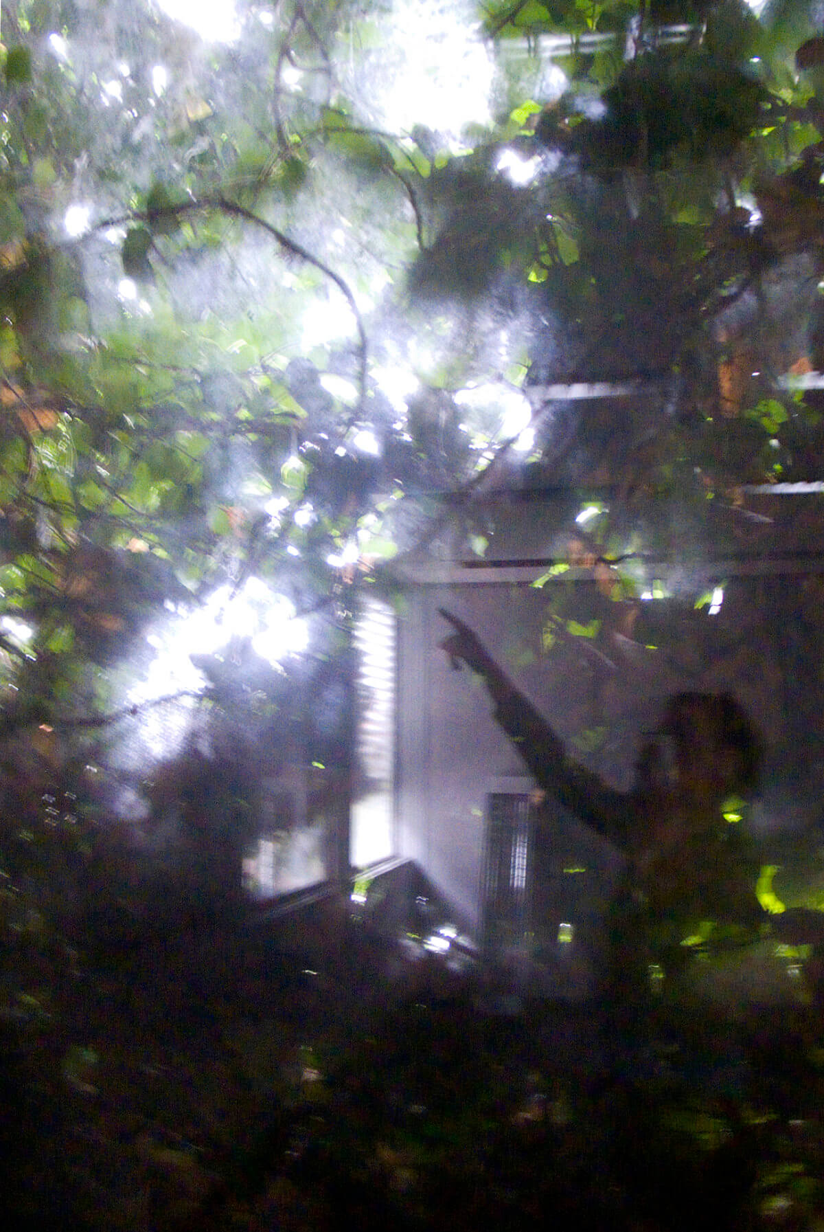 Plant room (point out), photography, 2008