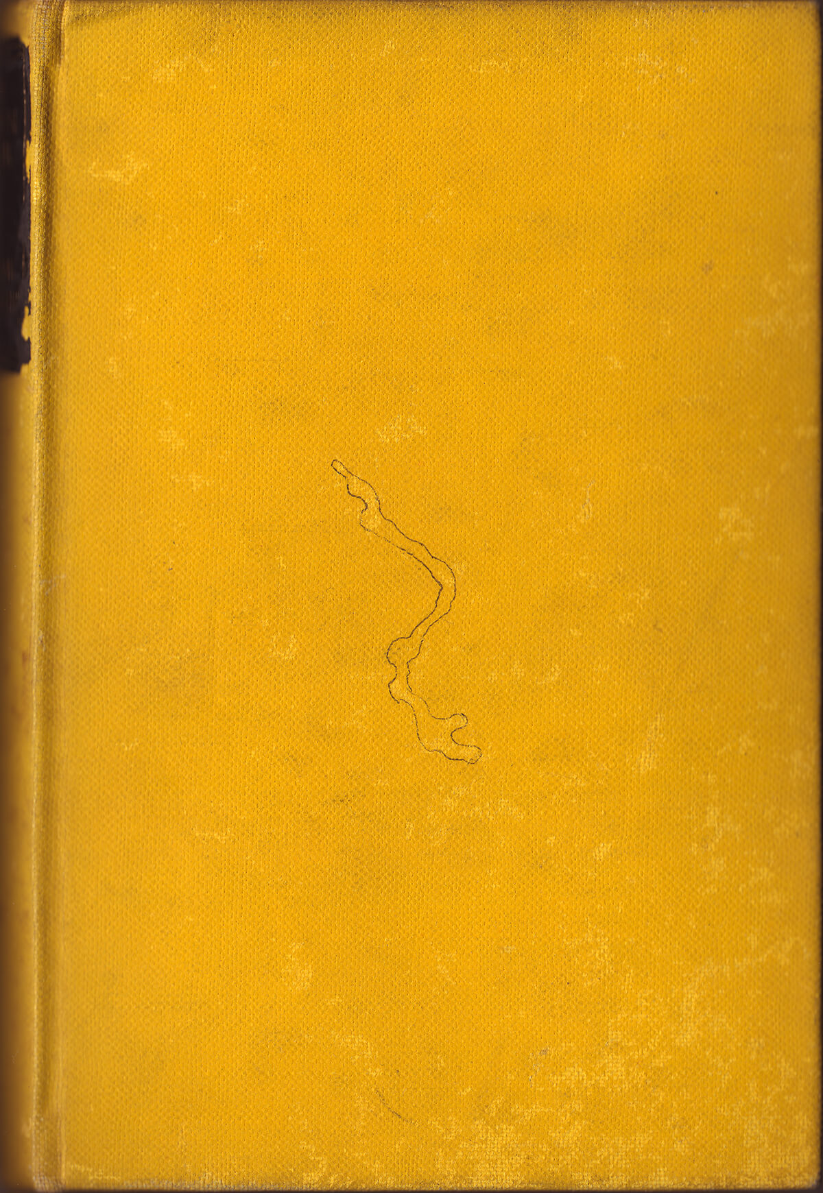 The Hidden River, cover, 19 x 13 cm, ink on book 249 pages, 2006