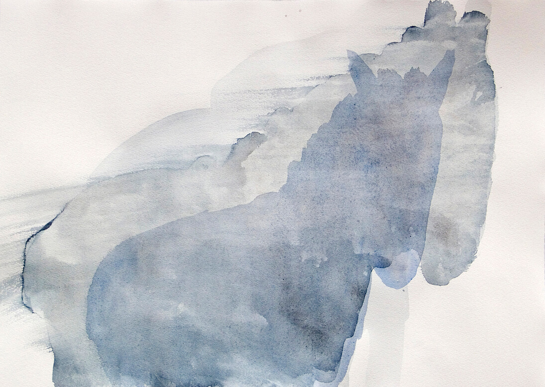 untitled (vague horse), 32.5 x 45.5 cm, watercolour, 2008