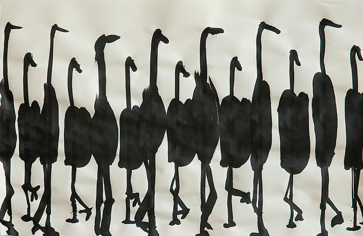 untitled (ostriches), 32 x 49,5 cm, 2016