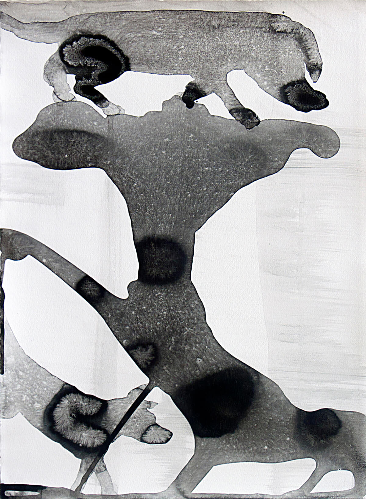 untitled (3 dogs), 44,5 x 33 cm, 2017